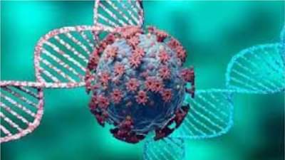 Navi Mumbai: नवी मुंबईत ओमिक्रॉनचा धोका वाढतोय, सरकारकडून तिसऱ्या लाटेची शक्यता व्यक्त