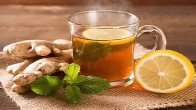 Immunity Boosting Drinks : सर्दी, खोकला या सारख्या आजारांपासून बचावासाठी घ्या होममेड इम्युनिटी बूस्टर ड्रिंक्स