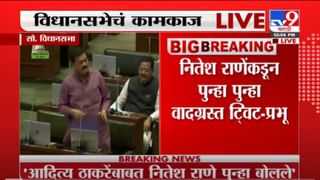 VIDEO : Assembly Session | ‘म्याव-म्याव; प्रकरणाचे सभागृहात पडसाद, सेनेकडून नितेश राणेंच्या निलंबनाची मागणी