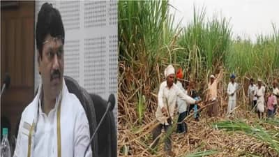 ऊसतोड कामगार महामंडळाचे लवकरच पुणे, परळीत कार्यालय; कामगार नोंदणी, वसतिगृहांसाठी 3 कोटींचे वितरण