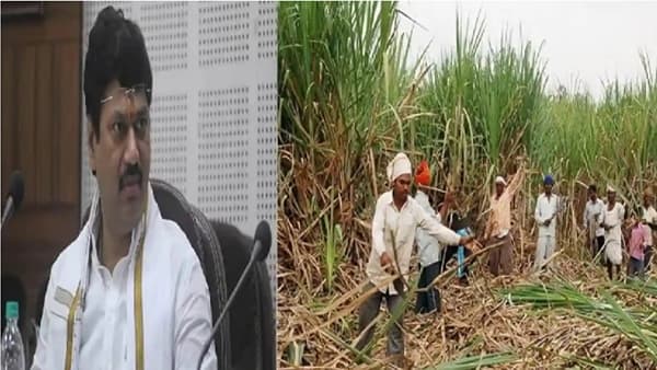 ऊसतोड कामगार महामंडळाचे लवकरच पुणे, परळीत कार्यालय; कामगार नोंदणी, वसतिगृहांसाठी 3 कोटींचे वितरण