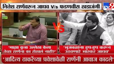 Special Report | नितेश राणेंवरुन जाधव V/s फडणवीस खडाजंगी