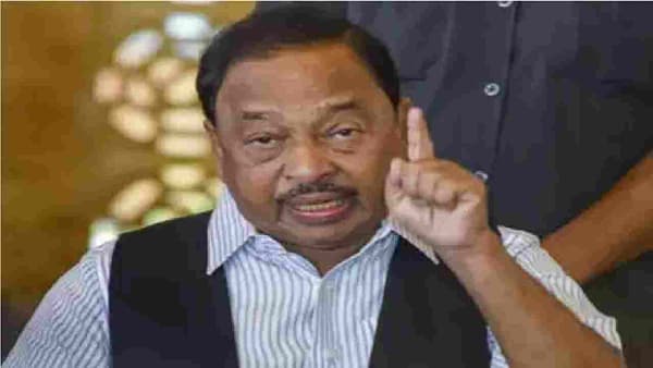 आदित्य ठाकरेंचा आवाज मांजरीसारखा आहे का? वाघाची मांजर कधी झाली? नारायण राणेंचा सवाल