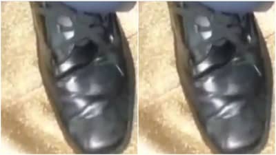 सोशल मीडियावर अनोख्या डिझाईनचा शूज, व्हिडीओ पाहून सर्वच आश्चर्यचकित!