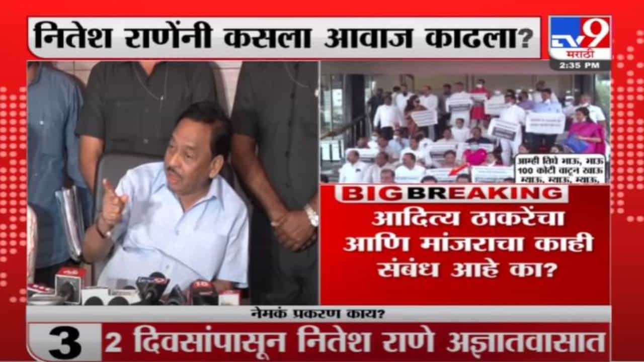 Narayan Rane on Aditya Thackeray | नितेश राणेंच्या 'म्याव-म्याव'चं नारायण राणेंकडून समर्थन