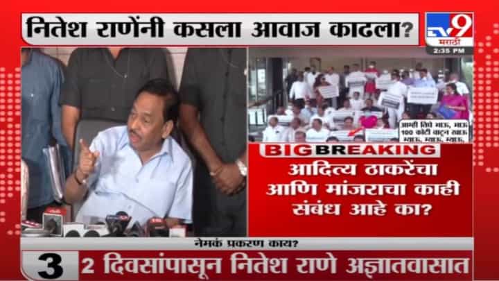 Narayan Rane on Aditya Thackeray | नितेश राणेंच्या 'म्याव-म्याव'चं नारायण राणेंकडून समर्थन Narayan Rane on Aditya Thackeray | नितेश राणेंच्या 'म्याव-म्याव'चं नारायण राणेंकडून समर्थन