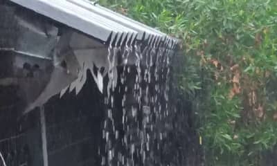 निसर्गाचे दुष्टचक्र कायम : अवकाळीने फळबागांचे तर गारपिटीनं रब्बी हंगामाचे नुकसान