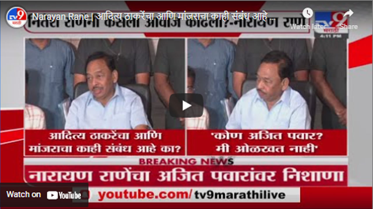 Narayan Rane | आदित्य ठाकरेंचा आणि मांजराचा काही संबंध आहे का ? नारायण राणेंचा सवाल