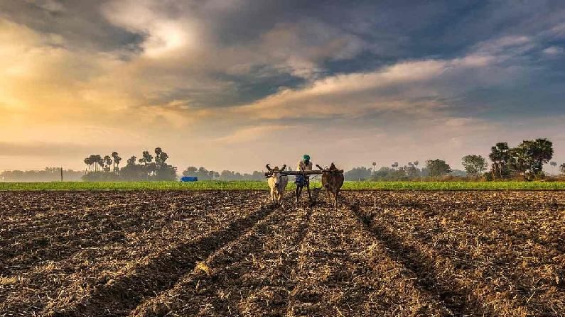 farmer loan : शेतकऱ्यांना कर्ज प्राप्तीचा मार्ग अधिक सुखकर, नाबार्डचा मोठा निर्णय