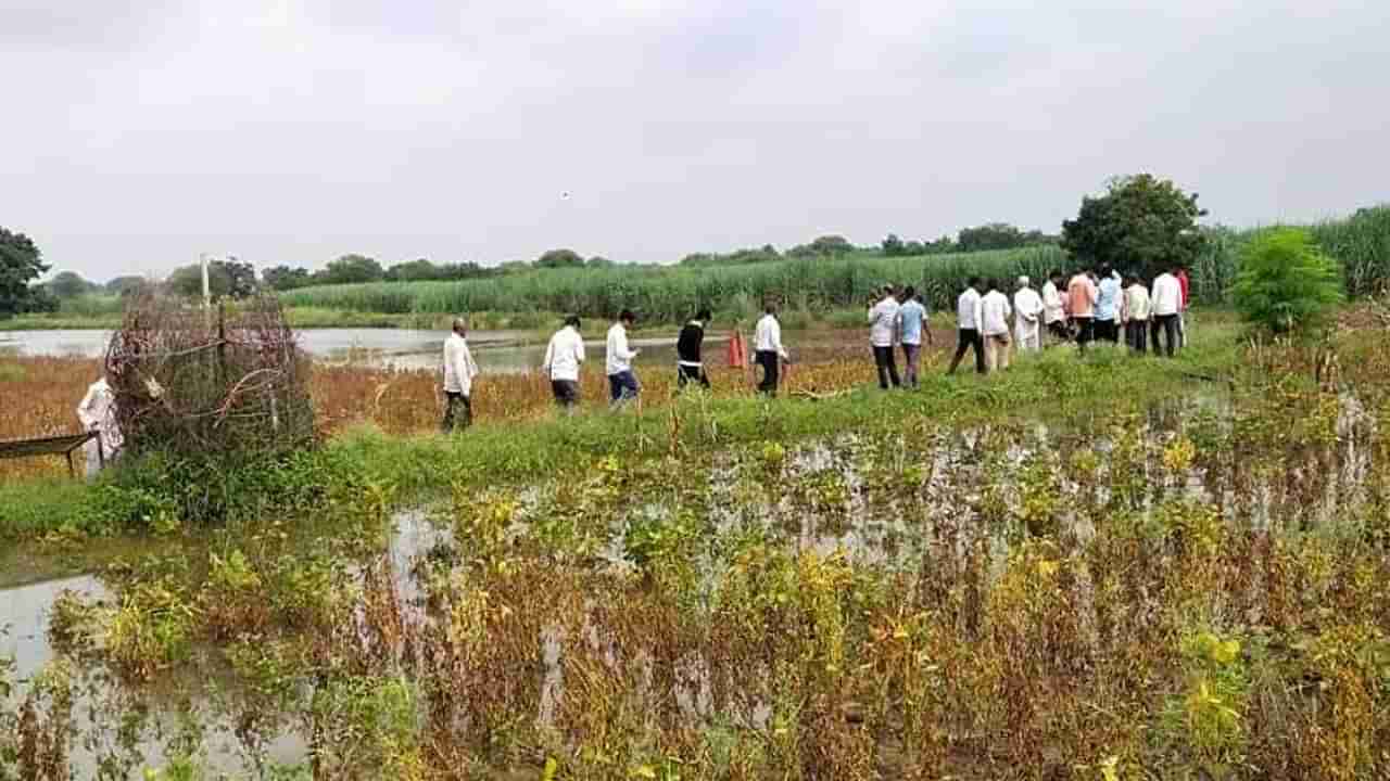 अतिवृष्टीची नुकसनभरपाई जमा होताच अवकाळीने झालेल्या नुकसानीचे पंचनामे, काय आहे शिवारातील चित्र?