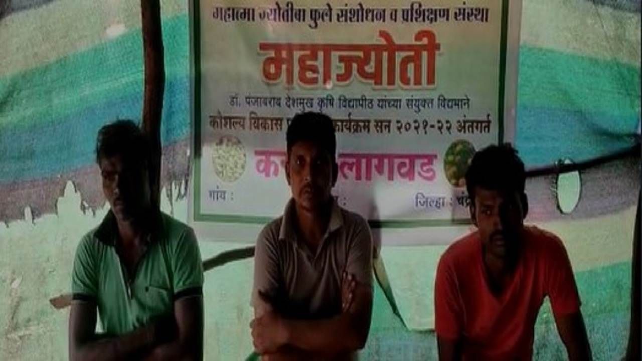 Mahajyoti | जे कृषी विद्यापीठाला जमलं नाही ते महाज्योतीनं केलं; काय आहे हा 15 हजार एकरवरील प्रकल्प? Mahajyoti | जे कृषी विद्यापीठाला जमलं नाही ते महाज्योतीनं केलं; काय आहे हा 15 हजार एकरवरील प्रकल्प?