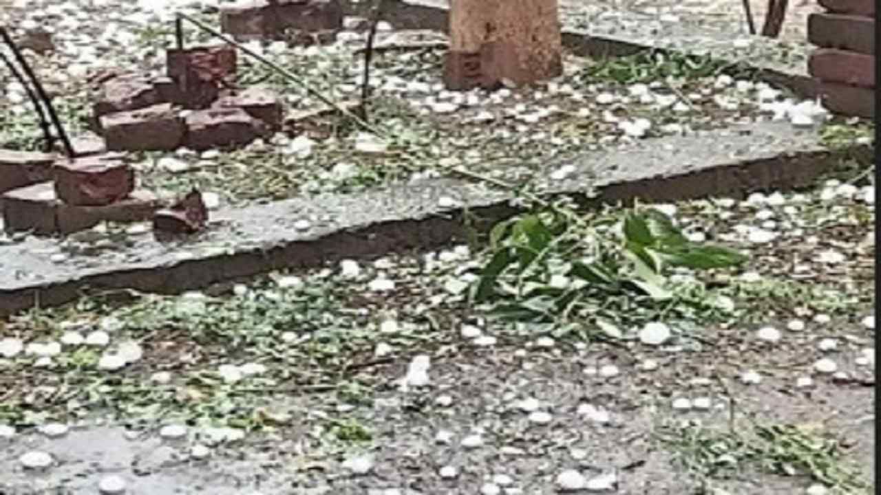Vidarbha hailstorm | विदर्भाला दोन दिवस गारपिटीने झोडपले, पिकांच्या नुकसानीसह तीन ठार; विजय वडेट्टीवार म्हणतात, नुकसानीचे पंचनामे करणार Vidarbha hailstorm | विदर्भाला दोन दिवस गारपिटीने झोडपले, पिकांच्या नुकसानीसह तीन ठार; विजय वडेट्टीवार म्हणतात, नुकसानीचे पंचनामे करणार
