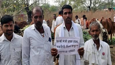 शेतकऱ्यांच्या आक्रमकतेपुढे महावितरणची बत्ती गुल, एका दिवसामध्ये कृषी पंपाचा प्रश्न मार्गी