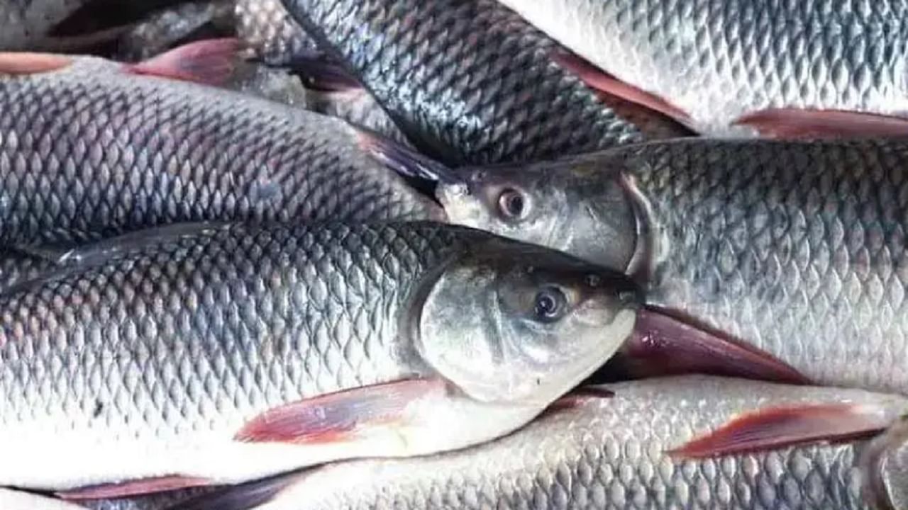 ओमेगा -3 फॅटी ऍसिडस् समृध्द अन्न देखील खूप महत्वाचे आहे. मासे, बदाम, अक्रोड हे फॅटी ऍसिडस् भरपूर प्रमाणात असतात. 