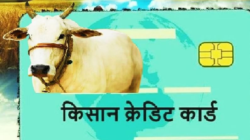 KCC : महिन्याभरात 50 हजार पशुपालकांना किसान क्रेडिट कार्डचे वाटप, 15 फेब्रुवारीपर्यंत अर्जाची मुदत KCC : महिन्याभरात 50 हजार पशुपालकांना किसान क्रेडिट कार्डचे वाटप, 15 फेब्रुवारीपर्यंत अर्जाची मुदत