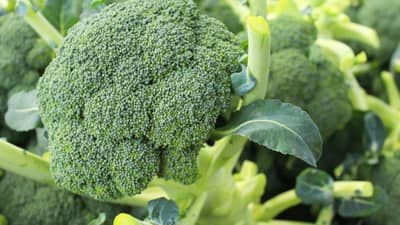 मुलांना हेल्दी, गुबगुबीत आणि उंच बनवायचं असेल तर मुलांना ब्रोकोली राइस द्यायलाच हवा!