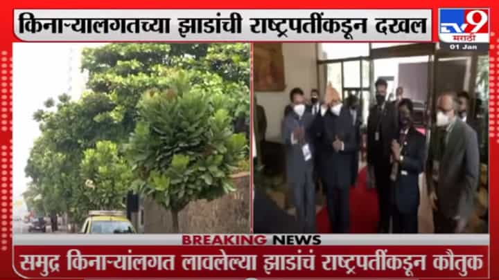 राष्ट्रपती रामनाथ कोविंद यांना मुंबईतील झाडांची भूरळ राष्ट्रपती रामनाथ कोविंद यांना मुंबईतील झाडांची भूरळ