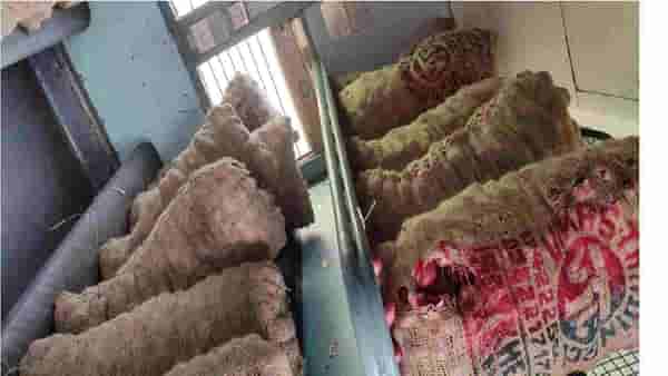 Kisan Railway: जालन्याचा 351 टन कांदा आसामला रवाना, मराठवाड्यातून धावली पहिली किसान रेल्वे!
