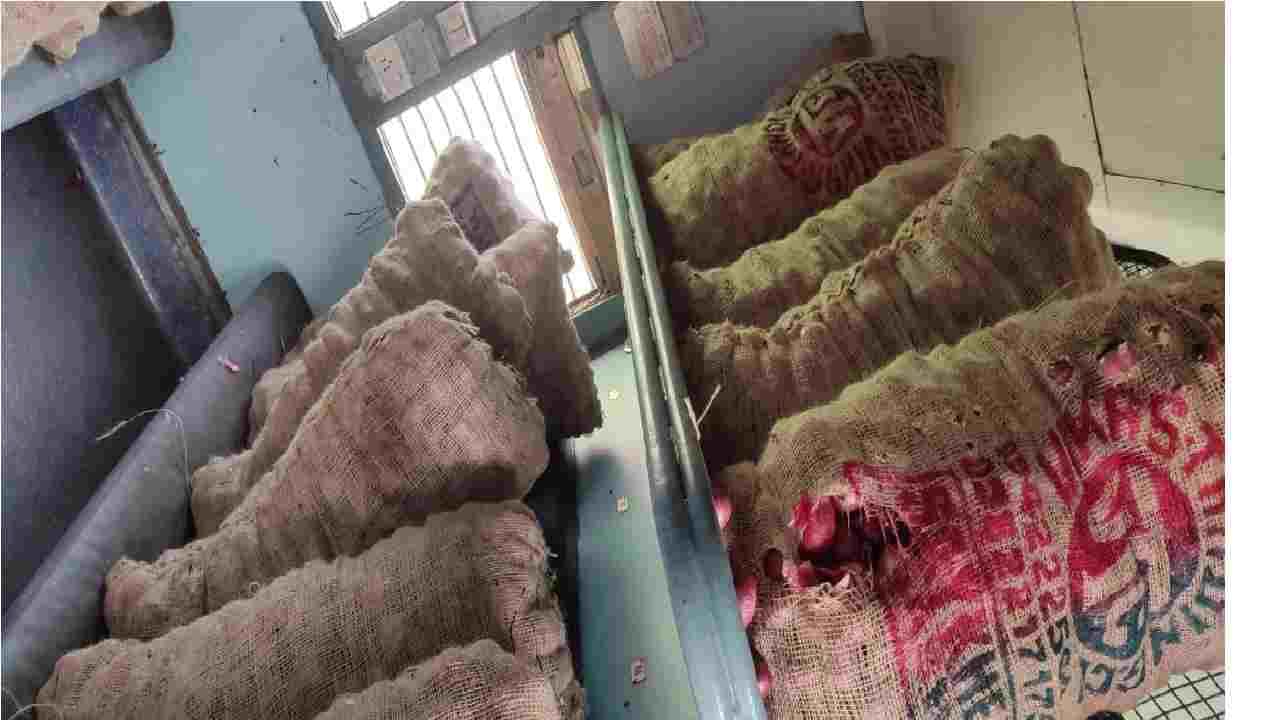 Kisan Railway: जालन्याचा 351 टन कांदा आसामला रवाना, मराठवाड्यातून धावली पहिली किसान रेल्वे! Kisan Railway: जालन्याचा 351 टन कांदा आसामला रवाना, मराठवाड्यातून धावली पहिली किसान रेल्वे!