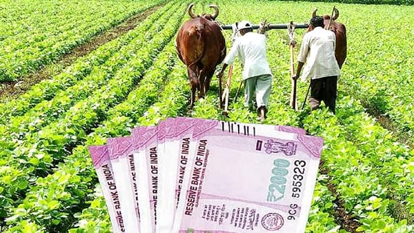 P.M.KISAN : पीएम किसान योजनेच्या नियमावलीत बदल, आता ही प्रक्रिया पूर्ण केली तरच 11 वा हप्ता खात्यावर