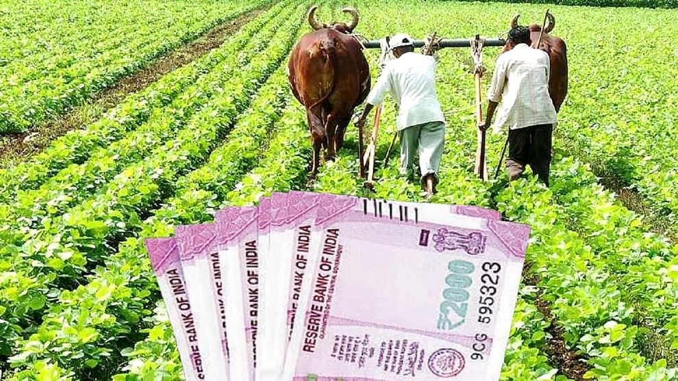 Budget 2022 : शेतकऱ्यांसाठी यंदाचा अर्थसंकल्प महत्वाचा, कृषी कर्जाच्या रकमेत होऊ शकते 18 लाख कोटीपर्यंतची वाढ