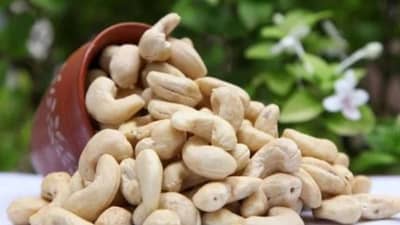 Cashews | या कारणामुळे काजूचे सेवन आरोग्यासाठी नुकसानदायक मानले जाते, जाणून घ्या त्याचे नुकसान!