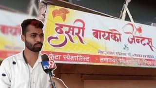 Video | उंदराच्या मावशीलाही पिझ्झाचा मोह आवरेना, पिझ्झासाठी चक्क तिनं हात जोडले!