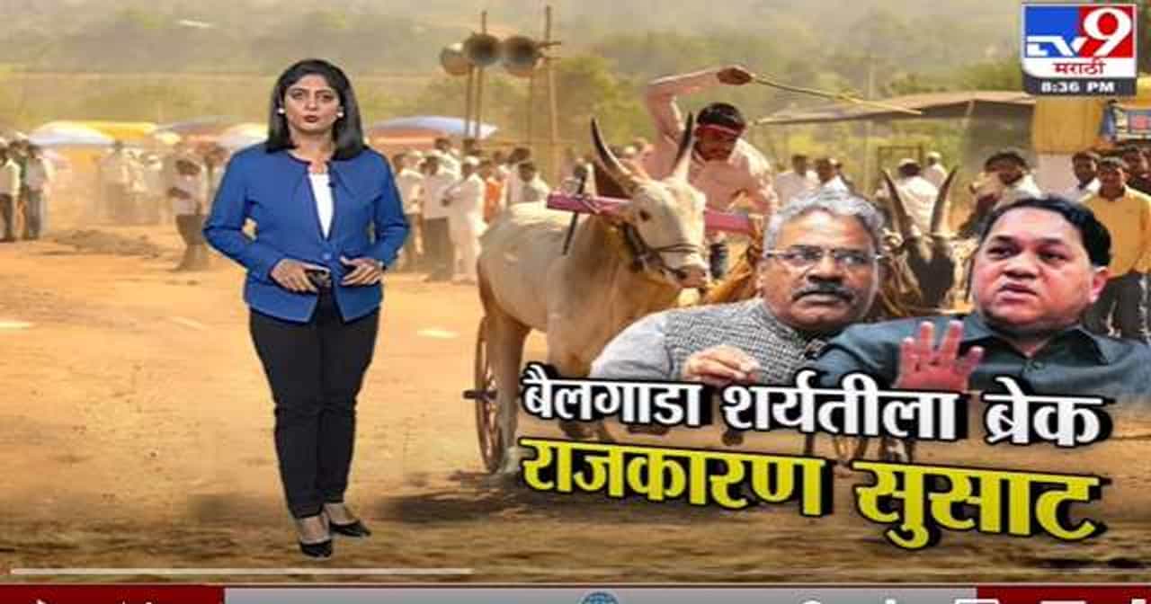 Special Report | बैलगाडा शर्यतीला ब्रेक, राजकारण सुसाट -Tv9