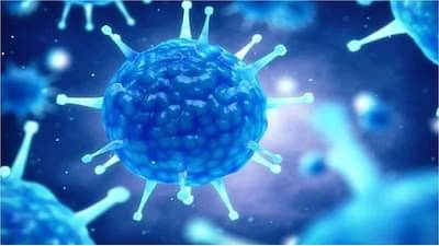 Thane Corona: तिसऱ्या लाटेचा सामना करण्यासाठी ठाणे जिल्हा प्रशासन सज्ज, रुग्ण बरे होण्याचा दर 97 टक्के