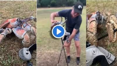 Video | खेकडा गॅन्गच्या या खेकड्यानं जे केलं, त्यानं भल्याभल्यांना घाम फुटेल, एकदा बघाच!