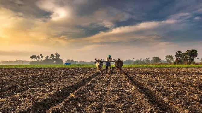Gudi Padawa : शेतकरीही साधतो पाडव्याचा मुहूर्त, काय आहे सालगड्याची परंपरा? वाचा सविस्तर