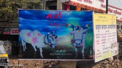 सर्जा-राजा : सर्जामुळे घरात समृध्दी, शेतकऱ्याने जाणीव ठेऊन केला दशक्रिया विधी