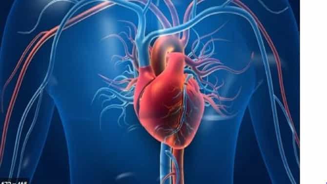 25 वर्षांपूर्वी देशात डुकारचे हृदय माणसाच्या शरीरात धडकले अन् डॉक्टरला इनाम म्हणून खावी लागली तुरुंगाची हवा