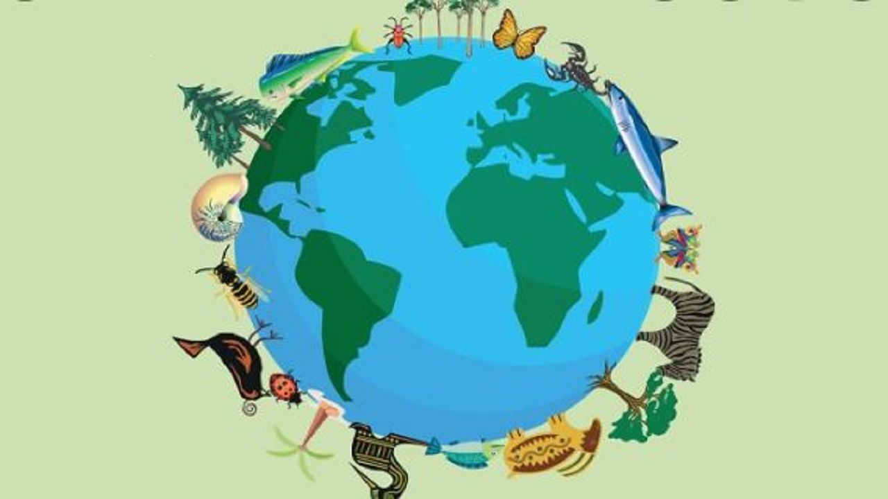 Biodiversity | जैवविविधता मंडळाची दशकपूर्ती; माहितीच्या संकलनाची बँक काय असते समजून घ्या