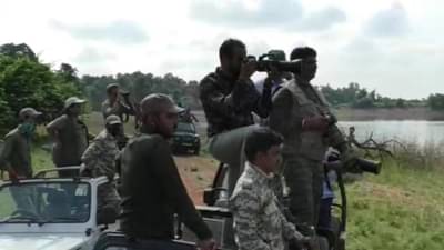 Chandrapur Tourism | अन्यथा पर्यटकांना आजपासून ताडोबात वाघोबाचे दर्शन नाही मिळणार; कारण काय?