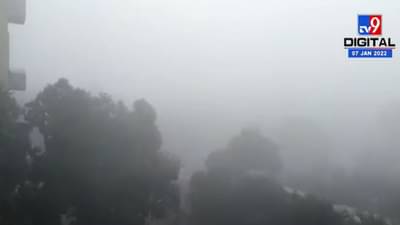 पुण्यातील अनेक भागात दाट धुक्याची चादर