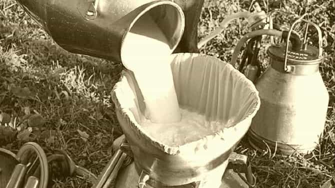 Milk Price : काय सांगता ? दूधाचे दर वाढणार, काय आहेत कारणे अन् तज्ञांचे मत..!