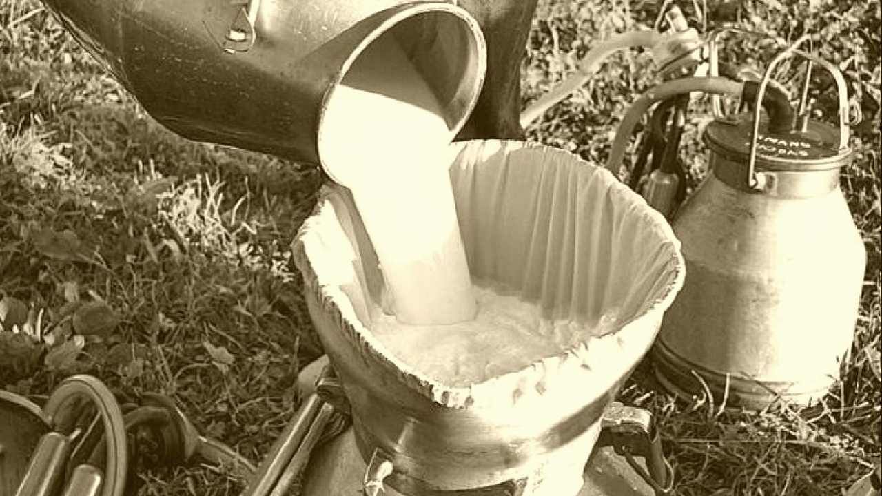 Milk Business: आता विद्यापीठातूनच दुग्धजन्य पदार्थ निर्मितीचे धडे, कृषी विद्यापीठाचा पुढाकार