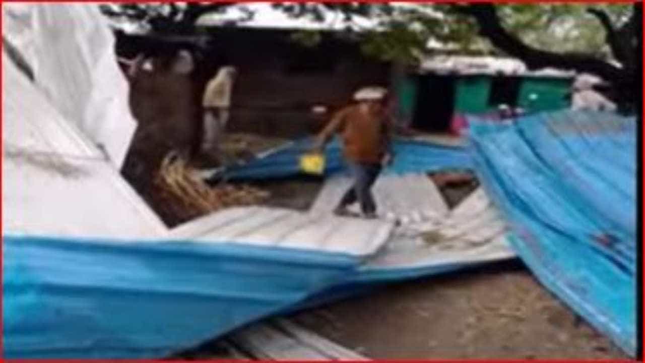 धुळे जिल्ह्याला अवकाळी पावसाचा फटका, घरांची पडझड; पिकांचे नुकसान