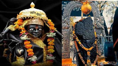 Shani Dev | शनिवारी शनिदेवाला मोहरीचे तेल का अर्पण करतात, या मागचे कारण तुम्हाला माहीत आहे का ?