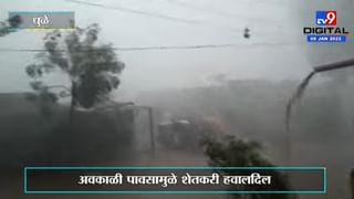 Chandrapur | ताडोबा-अंधारीत वाघिणीनं केलेली शिकार कॅमेऱ्यात कैद