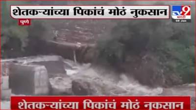 मांडवी नदीवरील बंधाऱ्यांचा भराव गेला वाहून, पिकांचे नुकसान