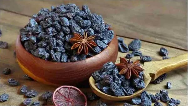 हिवाळ्यात आहारामध्ये काळ्या मनुक्याचा समावेश करा. यामुळे तुम्हाला बऱ्याच वेळ पोट भरल्यासारखे वाटेल. काळ्या मनुका तुम्हाला वजन कमी करण्यात मदत करते आणि तुमचे कोलेस्टेरॉल आणि रक्तदाब नियंत्रणात ठेवण्यास मदत करतात.