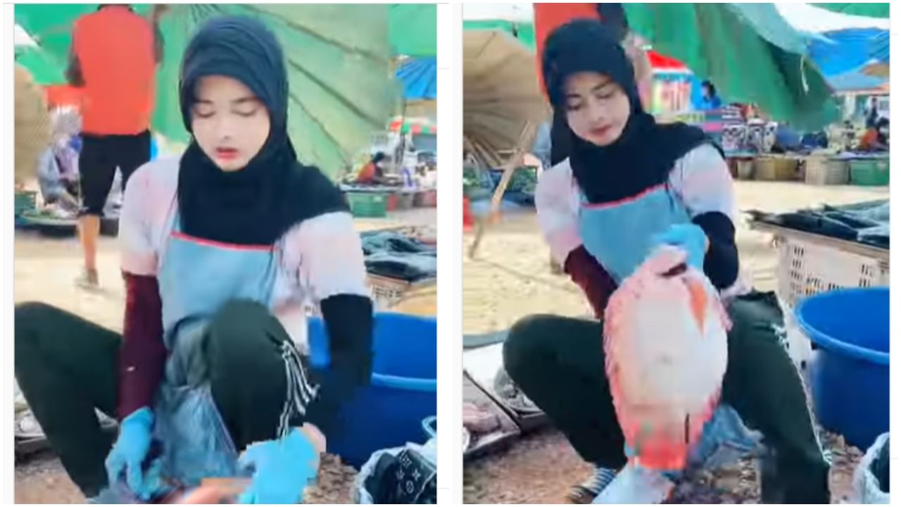 Viral Video : मासे विकताना दिसली सुंदर मुलगी, यूझर्स म्हणतायत विश्वास नाही बसत!
