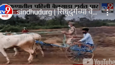 Video : सिंधुदुर्गात पोलीस अधीक्षकांनी हाकला शर्यतीचा बैलगाडा, कोकणातल्या पहिल्या शर्यतीत धुरळा