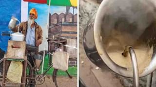 Viral : माकडाची फुग्यांसोबत मस्ती, Video पाहून अनेकांना आठवलं त्यांचं बालपण