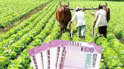 PM Kisan Mandhan Scheme : शेतकऱ्यांनाही आता पेन्शन, अर्ज करा अन् योजनेत सहभागी व्हा