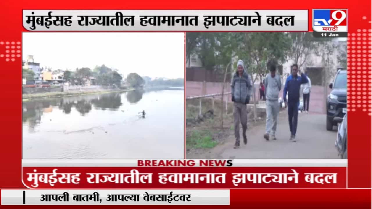 नाशिकच्या निफाडमधील तापमान 10 अंशावर, एकीकडं थंडीचा आनंद, दुसरीकडं शेतकरी हवालदिल