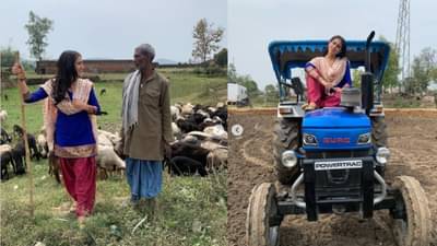 सारा अली खानच्या हाती ट्रॅक्टरचं स्टेरिंग, खांद्यावर काठी अन् बाजूला मेंढ्या... नवाबच्या लेकीचा देसी अंदाज