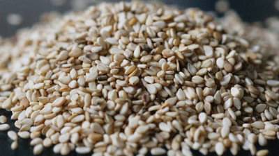 Sesame Prices : संक्रातीच्या सणातही तीळाच्या दरात तेजीच, काय आहेत कारणे?